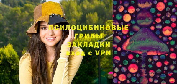МДПВ Алзамай